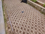 Interlocking Concrete Pavers - context_01