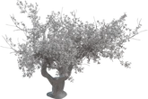 Island Tree 02 - clay