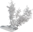 Island Tree 03 - clay
