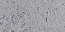Japanese Hackberry Bark - clay