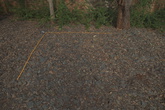 Leaf Scattered Gravel - reference