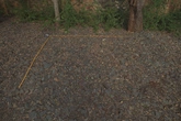 Leaf Scattered Gravel - reference