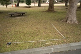 Leafy Grass - Context_01
