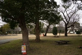 Leafy Grass - Context_03