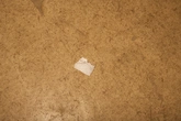 Linoleum Brown - context