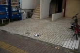 Marble Tiles - Context_01