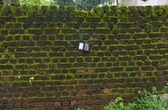 Mossy Brick - context_01