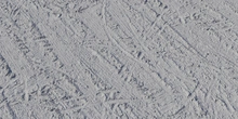 Muddy Tracks - clay