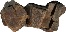Namaqualand Boulder 02 - orth_top