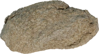 Namaqualand Boulder 05 - orth_top