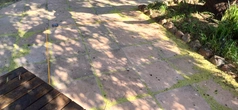 Overgrown Concrete Pavers - reference