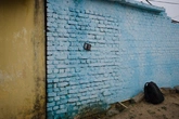Painted Brick - context_02