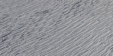 Palm Bark - clay