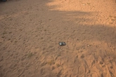 Park Sand - context_02