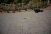 Patterned Concrete Pavers - context_01