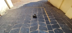Patterned Slate Tiles - Ref_1