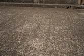 Pebble Embedded Concrete - Context