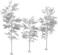 Pine Tree 01 - clay