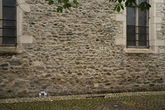 Plaster Stone Wall 02 - reference