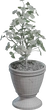Potted Plant 01 - clay