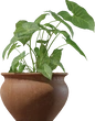 Potted Plant 02 - orth_side