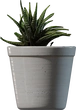 Potted Plant 04 - orth_side