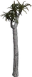 Quiver Tree 01 - clay