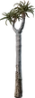 Quiver Tree 01 - orth_side