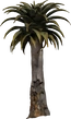 Quiver Tree 02 - orth_front