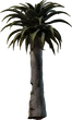 Quiver Tree 02 - orth_side