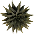 Quiver Tree 02 - orth_top