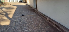 Recycled Brick Floor - Ref_1