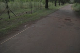 Road Damaged Clean - reference