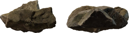 Rock Moss Set 01 - orth_side
