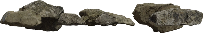 Rock Moss Set 02 - orth_front