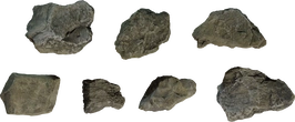 Rock Moss Set 02 - orth_top
