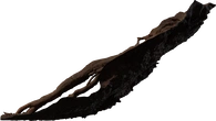 Root Cluster 01 - orth_side