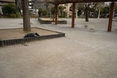 Sandy Gravel - Context_01
