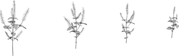 Shrub 03 - clay