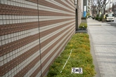 Square Tiled Wall - Context01