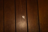 Stair Planks - context
