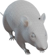 Street Rat - clay