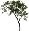 Tree Small 02 - orth_side