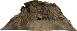 Tree Stump 01 - orth_front