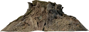 Tree Stump 01 - orth_side