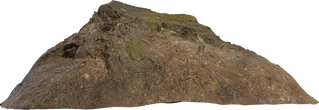 Tree Stump 02 - orth_front