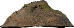 Tree Stump 02 - orth_side