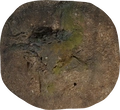 Tree Stump 02 - orth_top