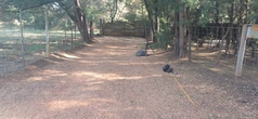 Wood Chip Path - reference