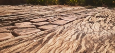 Wood Stone Pathway - context_01
